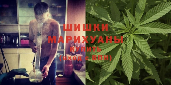 mdpv Волоколамск