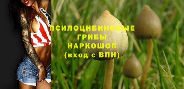 mdpv Волоколамск