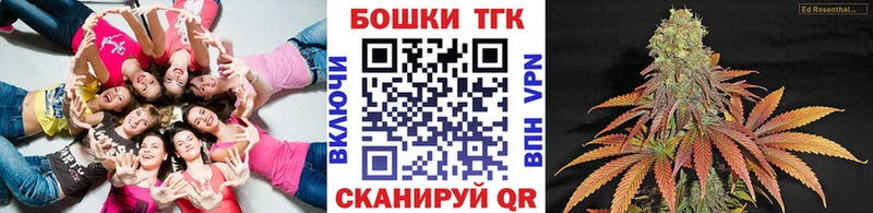как найти   МЕГА ссылка  Бошки Шишки план  Дубна 